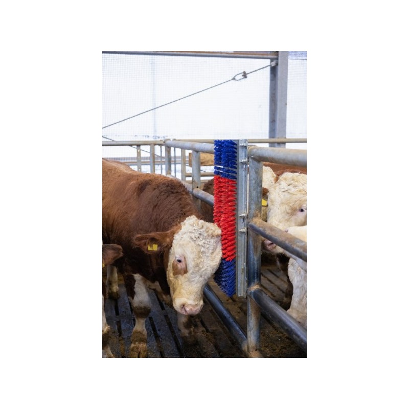 Krtača HAPPYCOW Bully