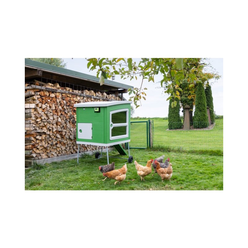 SmartCoop krmilje