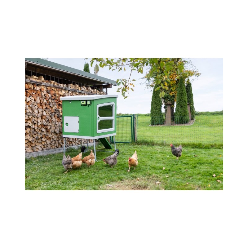 SmartCoop krmilje