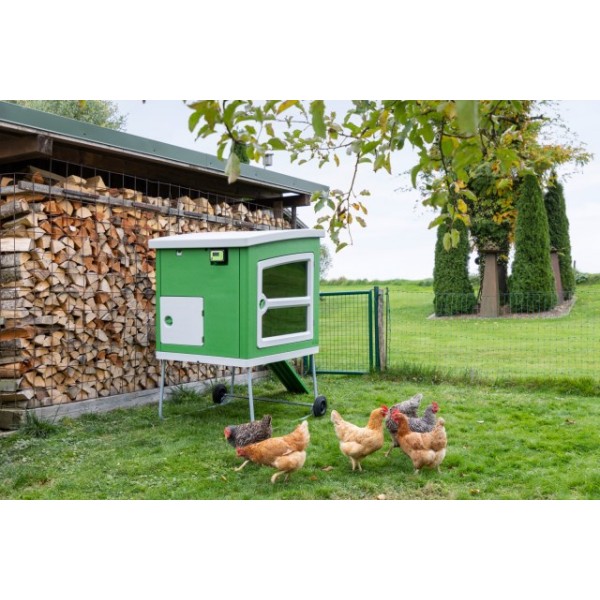 SmartCoop krmilje